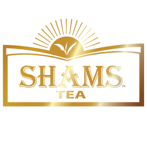 نماذج مميزة